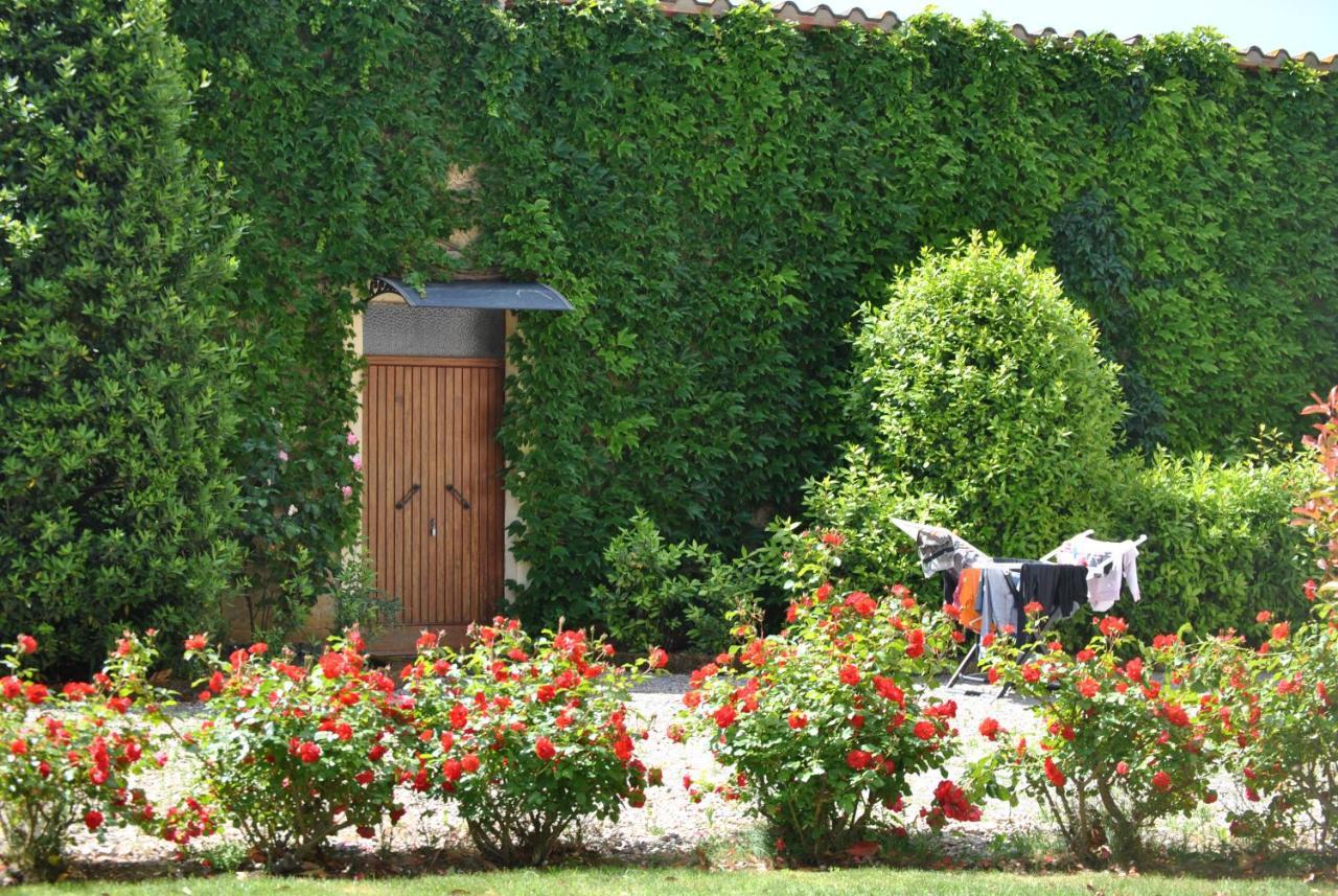 Villa La Valiana - Full Estate In Montepulciano - Heated Pool 瓦里亚诺 外观 照片